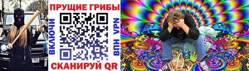 что такое наркотик  Ртищево  блэк спрут ONION  Псилоцибиновые грибы MAGIC MUSHROOMS 